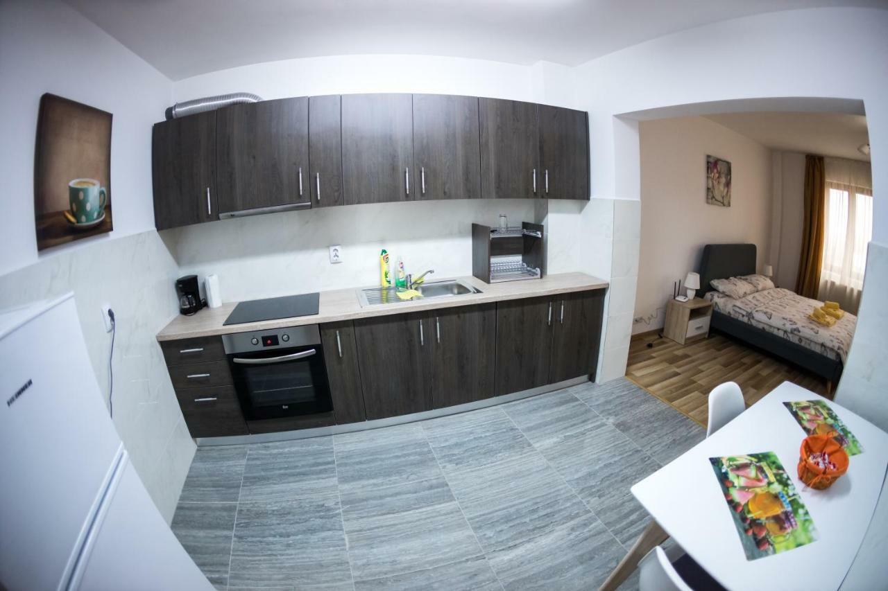 Travel Homzzz Apartments Târgu-Mureş エクステリア 写真
